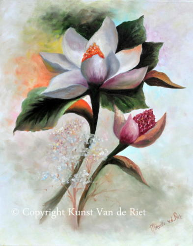 Magnolia volgens de olieverf schildertechniek van Gary Jenkins
